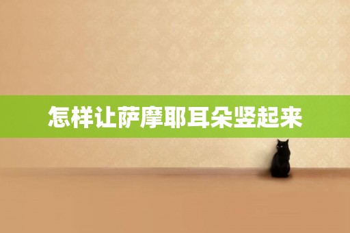 怎樣讓薩摩耶耳朵豎起來