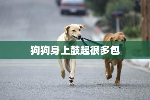 狗狗身上鼓起很多包