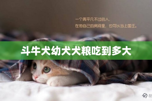 斗牛犬幼犬犬糧吃到多大