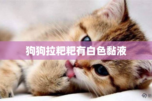 狗狗拉粑粑有白色黏液