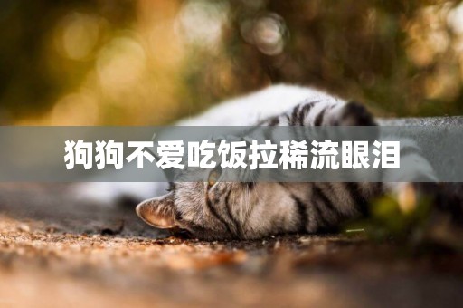 狗狗不愛吃飯拉稀流眼淚