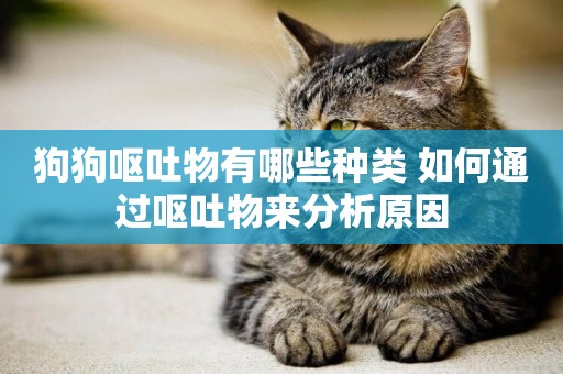 狗狗嘔吐物有哪些種類 如何通過嘔吐物來分析原因