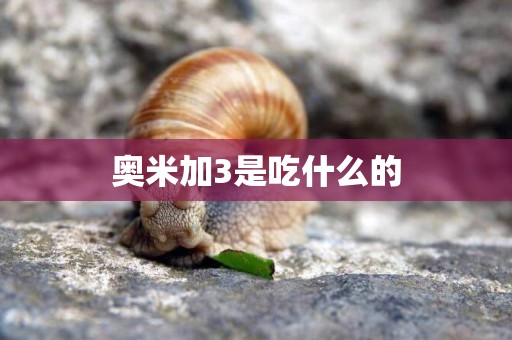 奧米加3是吃什么的