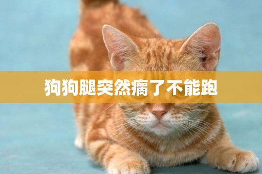 狗狗腿突然瘸了不能跑