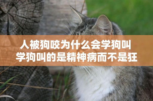 人被狗咬為什么會學狗叫 學狗叫的是精神病而不是狂犬病！