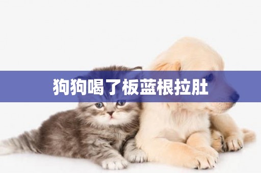 狗狗喝了板藍根拉肚