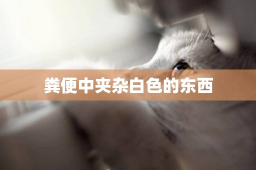 糞便中夾雜白色的東西