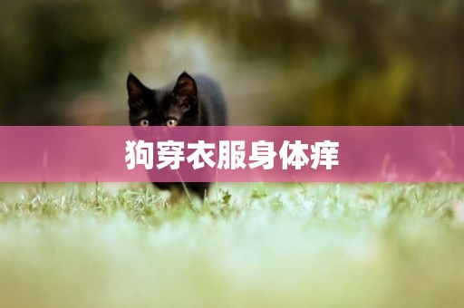 狗穿衣服身體癢
