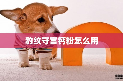 豹紋守宮鈣粉怎么用