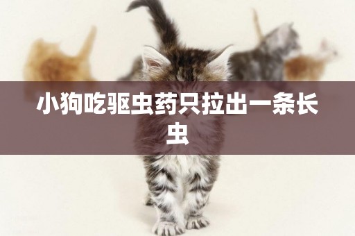 小狗吃驅蟲藥只拉出一條長蟲