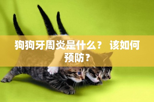 狗狗牙周炎是什么？ 該如何預防？