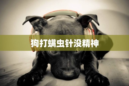 狗打螨蟲針沒精神