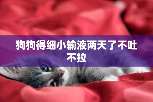 狗狗得細小輸液兩天了不吐不拉