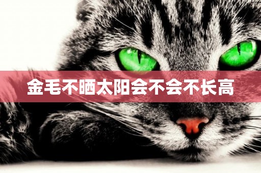 金毛不曬太陽會不會不長高