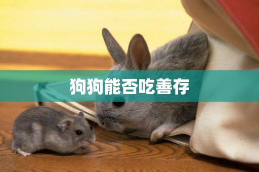 狗狗能否吃善存