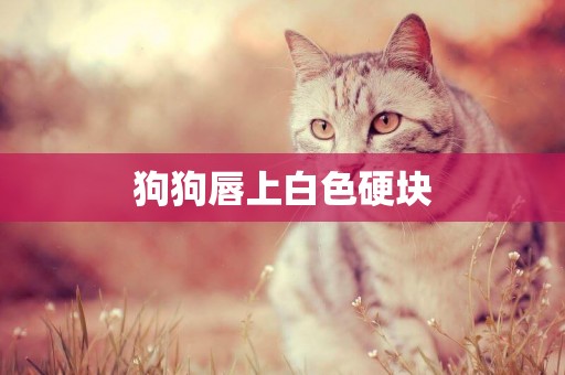 狗狗唇上白色硬塊