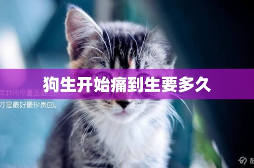 狗生開始痛到生要多久