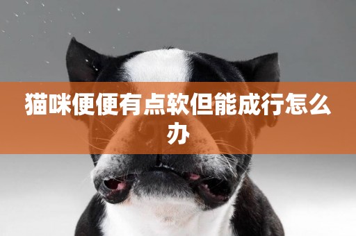 貓咪便便有點軟但能成行怎么辦