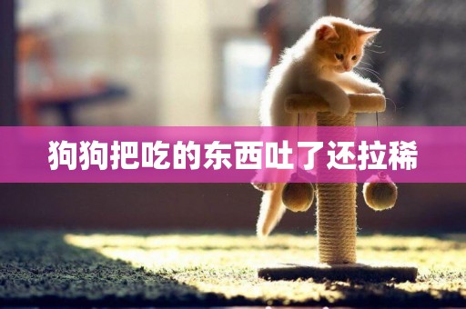 狗狗把吃的東西吐了還拉稀