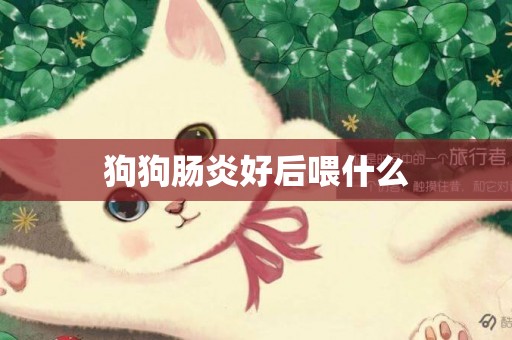 狗狗腸炎好后喂什么
