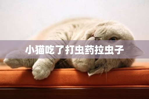 小貓吃了打蟲藥拉蟲子