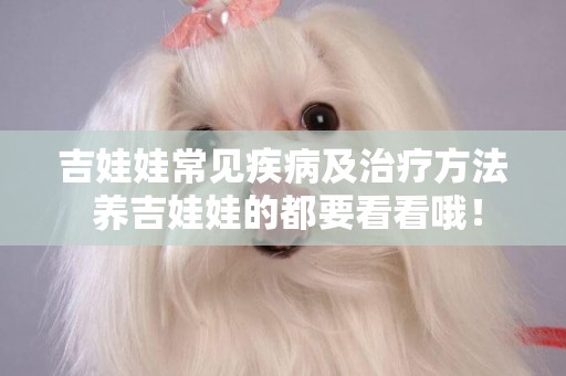 吉娃娃常見疾病及治療方法 養吉娃娃的都要看看哦！