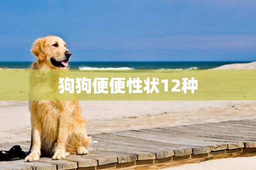 狗狗便便性狀12種