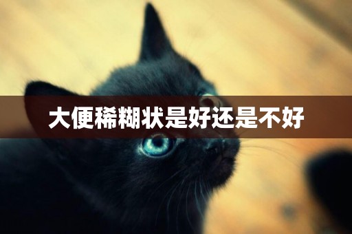 大便稀糊狀是好還是不好