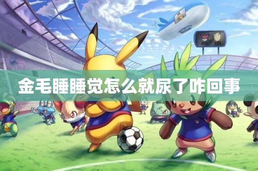 金毛睡睡覺怎么就尿了咋回事