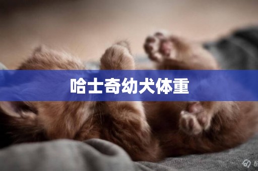 哈士奇幼犬體重