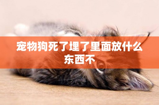 寵物狗死了埋了里面放什么東西不