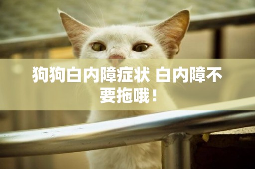 狗狗白內障癥狀 白內障不要拖哦！