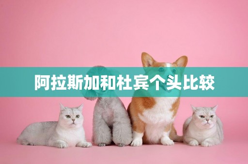 阿拉斯加和杜賓個頭比較