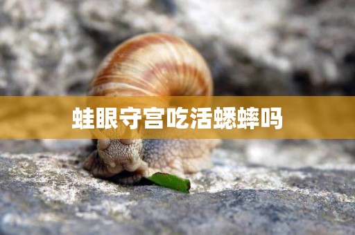 蛙眼守宮吃活蟋蟀嗎