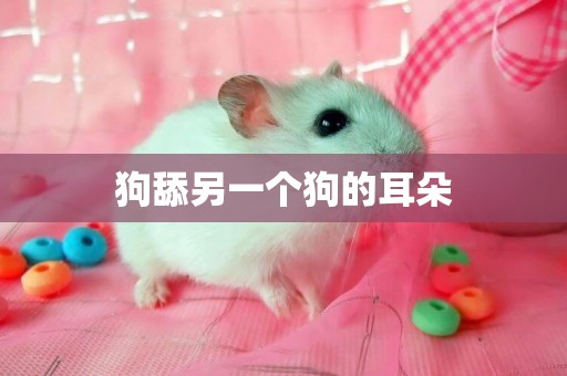 狗舔另一個狗的耳朵