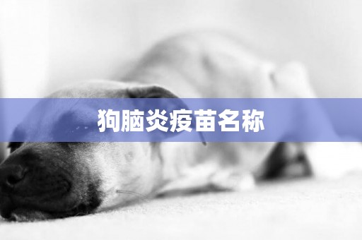 狗腦炎疫苗名稱