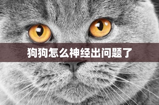 狗狗怎么神經出問題了