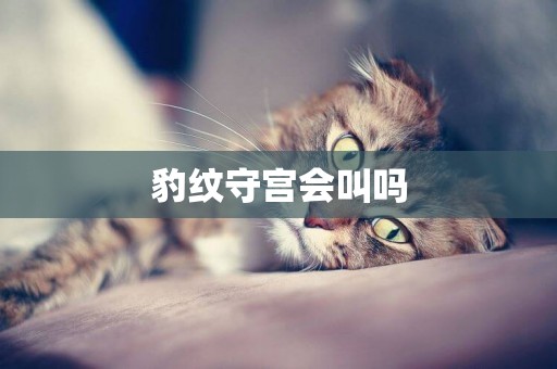豹紋守宮會叫嗎