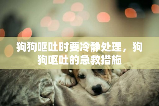 狗狗嘔吐時要冷靜處理，狗狗嘔吐的急救措施
