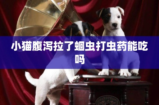 小貓腹瀉拉了蛔蟲打蟲藥能吃嗎