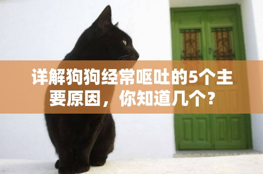 詳解狗狗經常嘔吐的5個主要原因，你知道幾個？