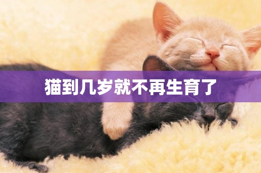 貓到幾歲就不再生育了
