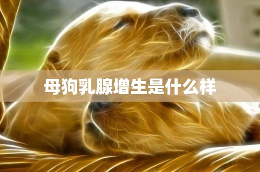 母狗乳腺增生是什么樣