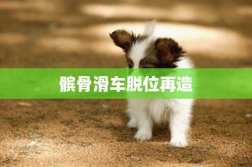 髕骨滑車脫位再造