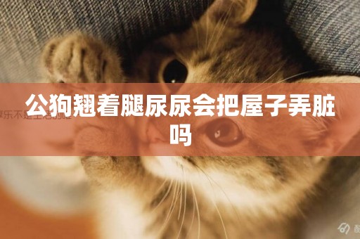 公狗翹著腿尿尿會把屋子弄臟嗎