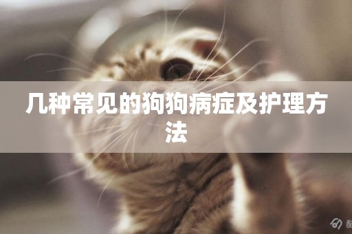 幾種常見的狗狗病癥及護理方法