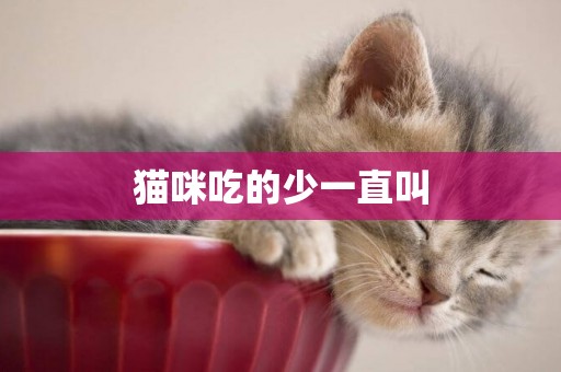貓咪吃的少一直叫