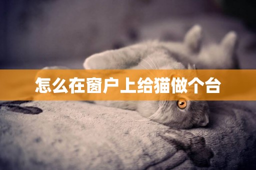 怎么在窗戶上給貓做個臺