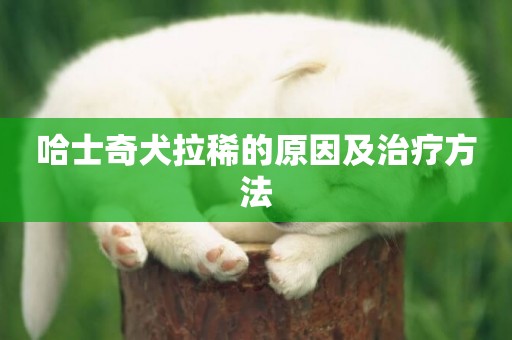 哈士奇犬拉稀的原因及治療方法