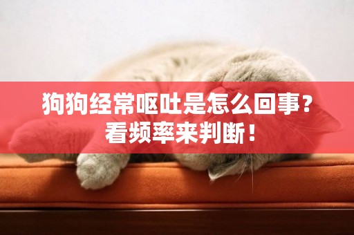 狗狗經常嘔吐是怎么回事？ 看頻率來判斷！